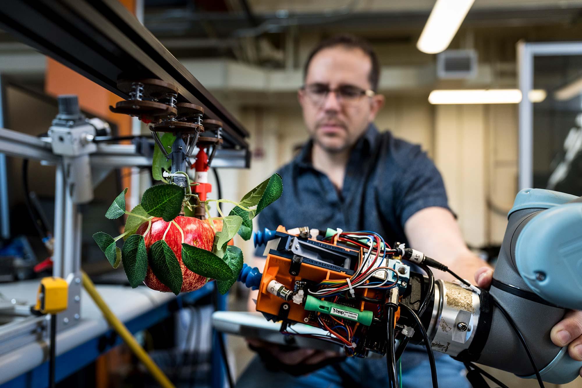 An Oregon State robot picks an apple